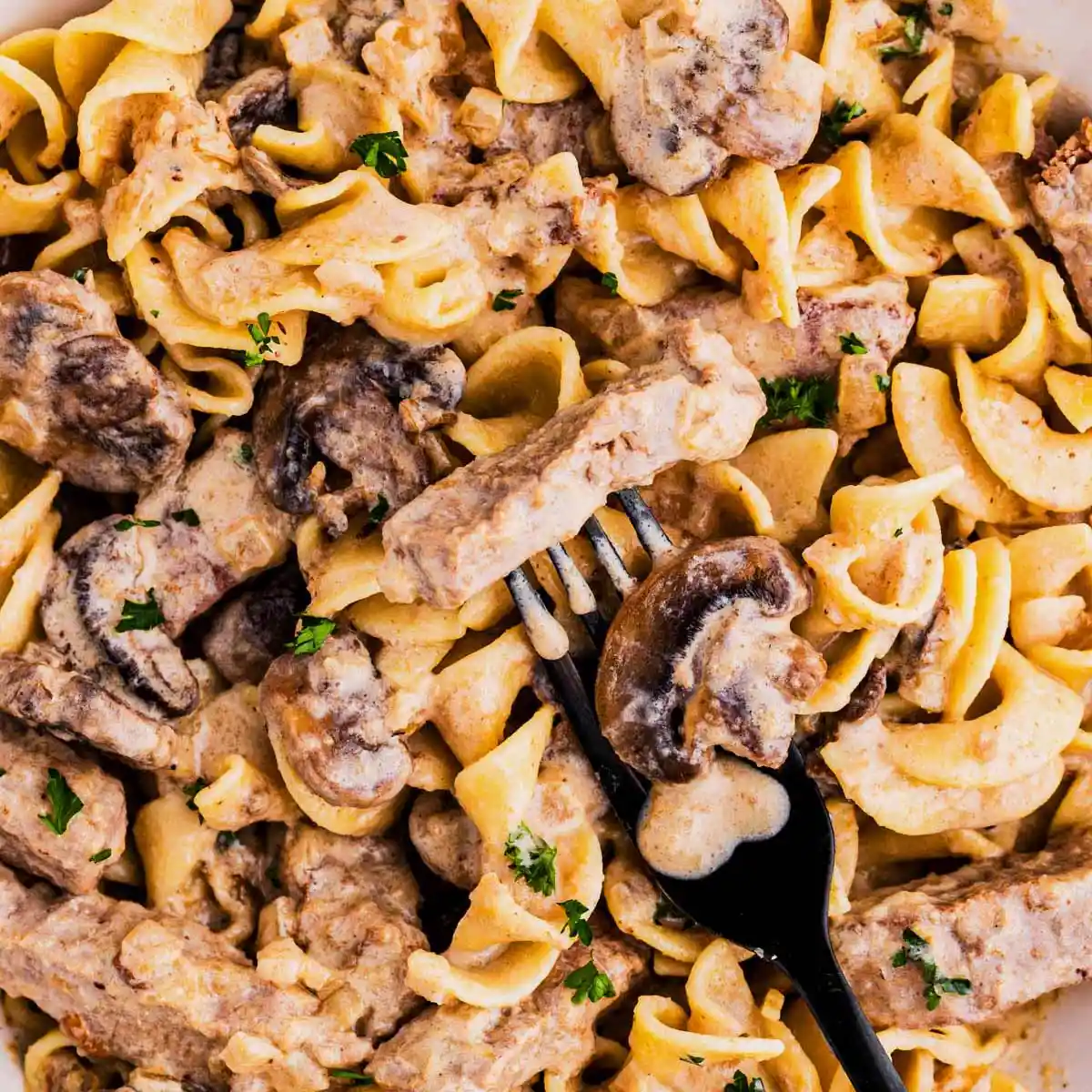 Classic Beef Stroganoff Recipe 2 Classic Beef Stroganoff with egg noodles
